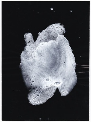 45_III-32