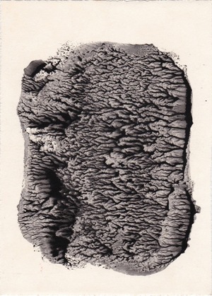 15_II-08
