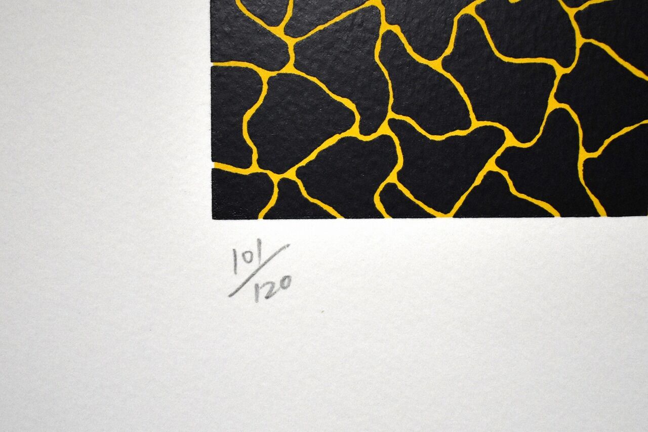 Yayoi KUSAMA Pumpkin (Yellow Y¡Ë (2)