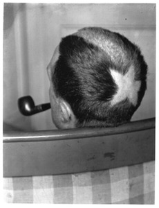 �ޥ󡦥쥤�ȥޥ륻�롦�ǥ奷���ֶ���̿���̥�ϭ� 20�����ξ�����