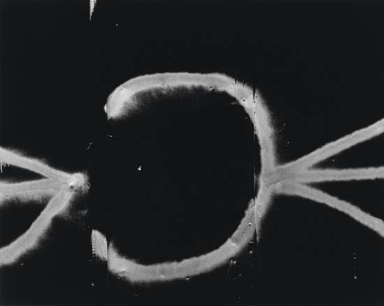 小林美香のエッセイ「写真のバックストーリー」第21回アーロン