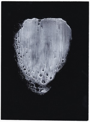 25_III-30