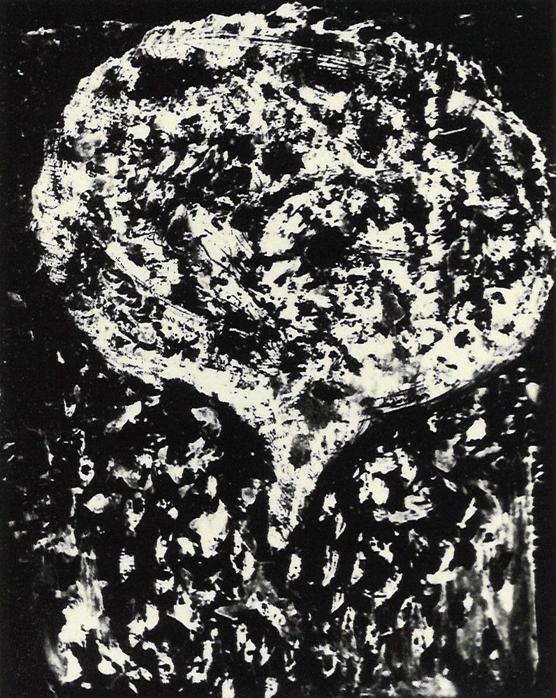 fig.7