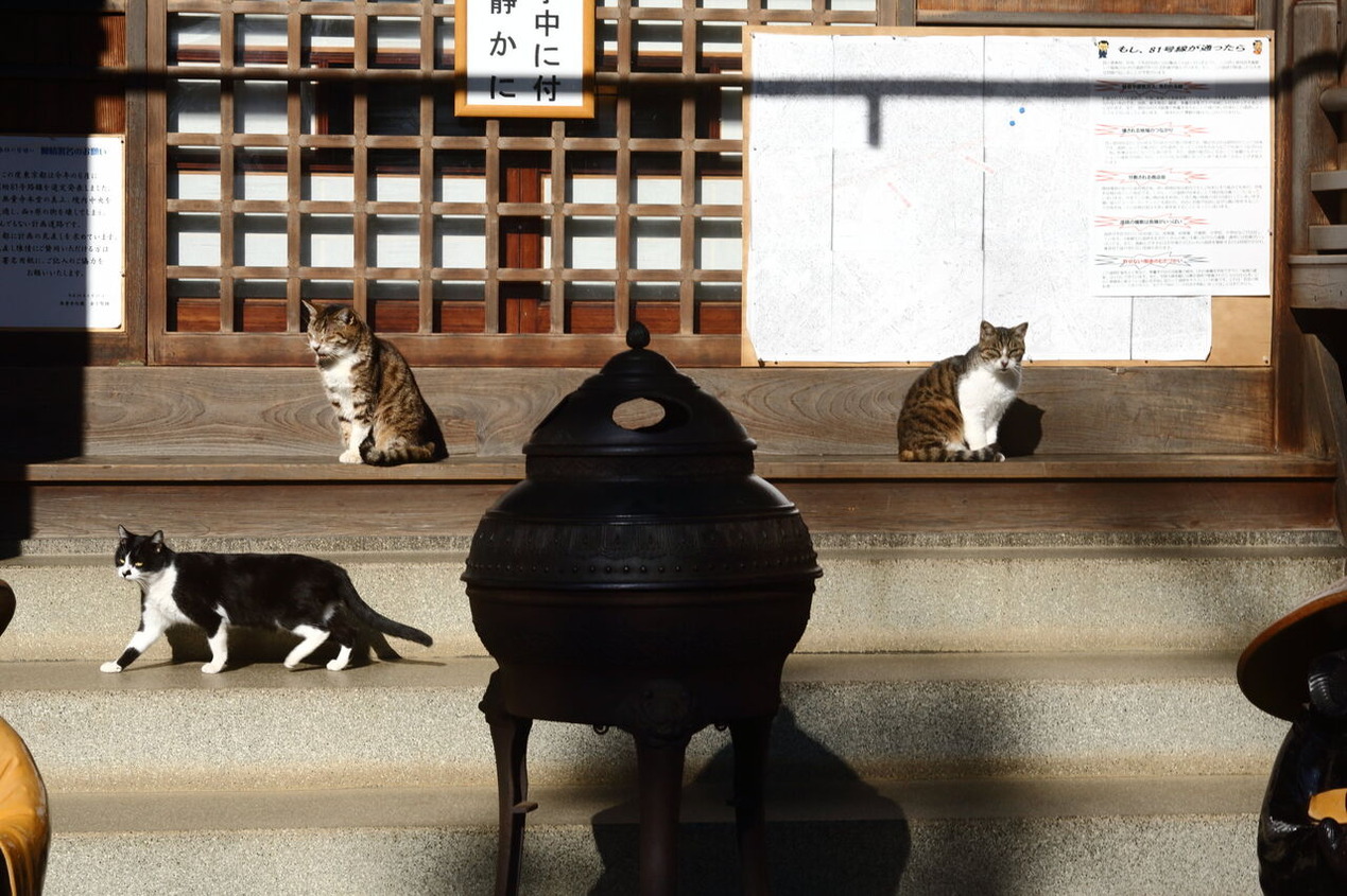 無量寺