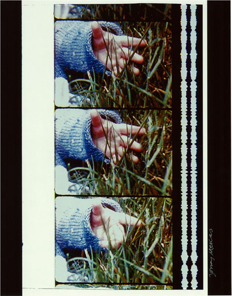 ジョナス・メカス 写真作品 限定10部 サイン入り 本物 jonas mekas ジョナス・メカス 写真作品 限定10部 サイン入り 本物 jonas
