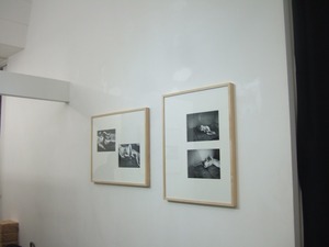 DSCF4626