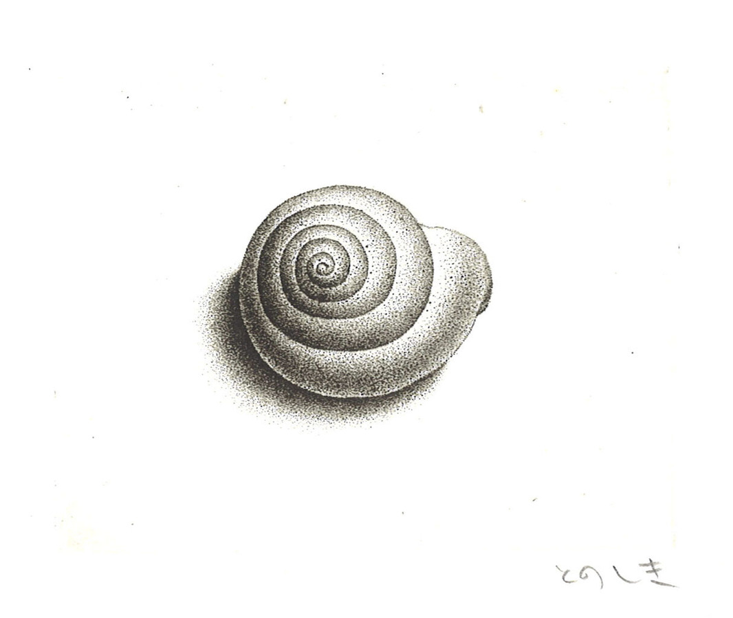 20230405173455_00001
