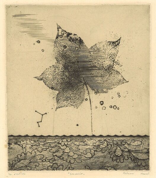 駒井哲郎を追いかけて第78回「思い出」と「フューグソムナンビュール