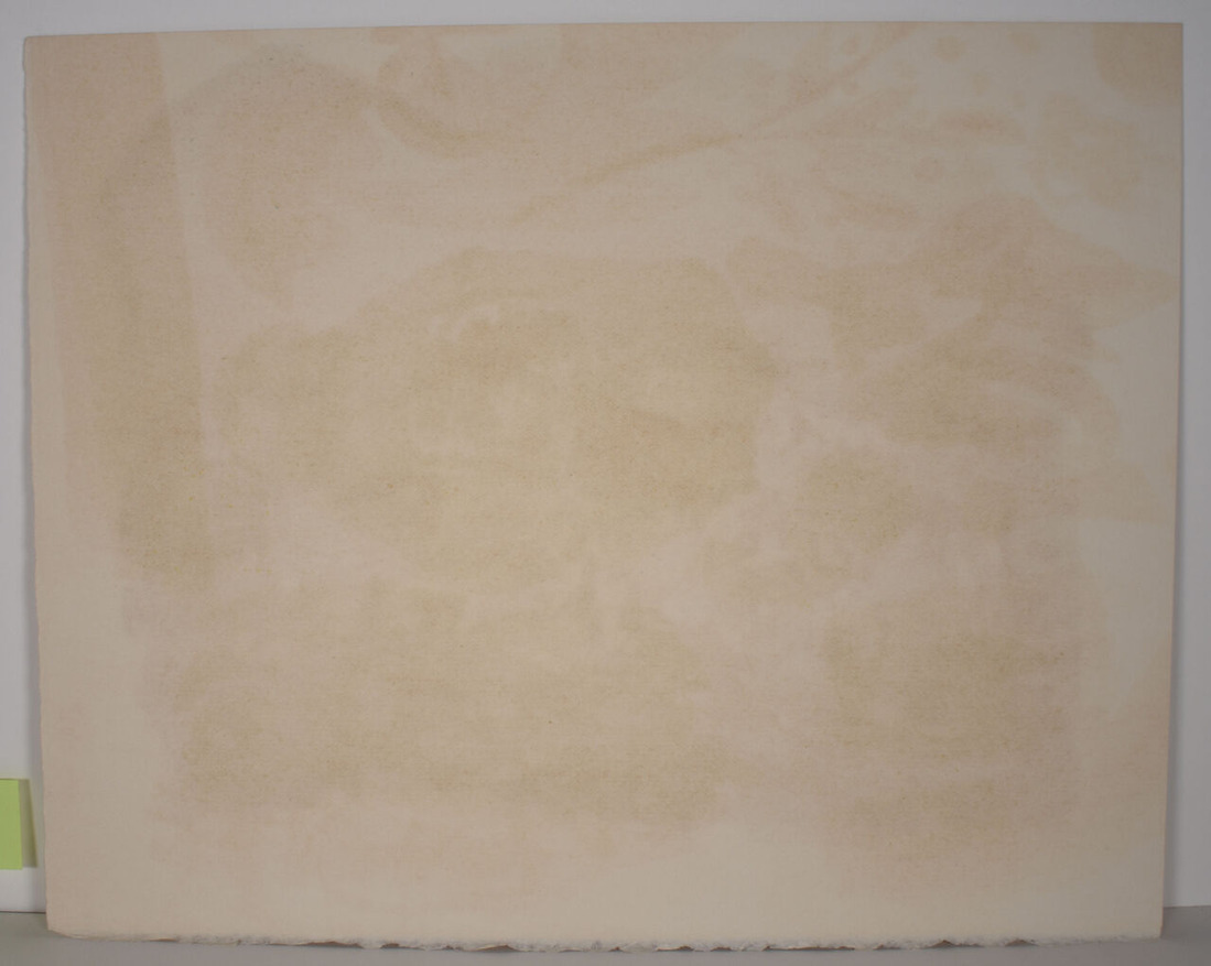 AAA_0709