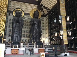 IMG_4129