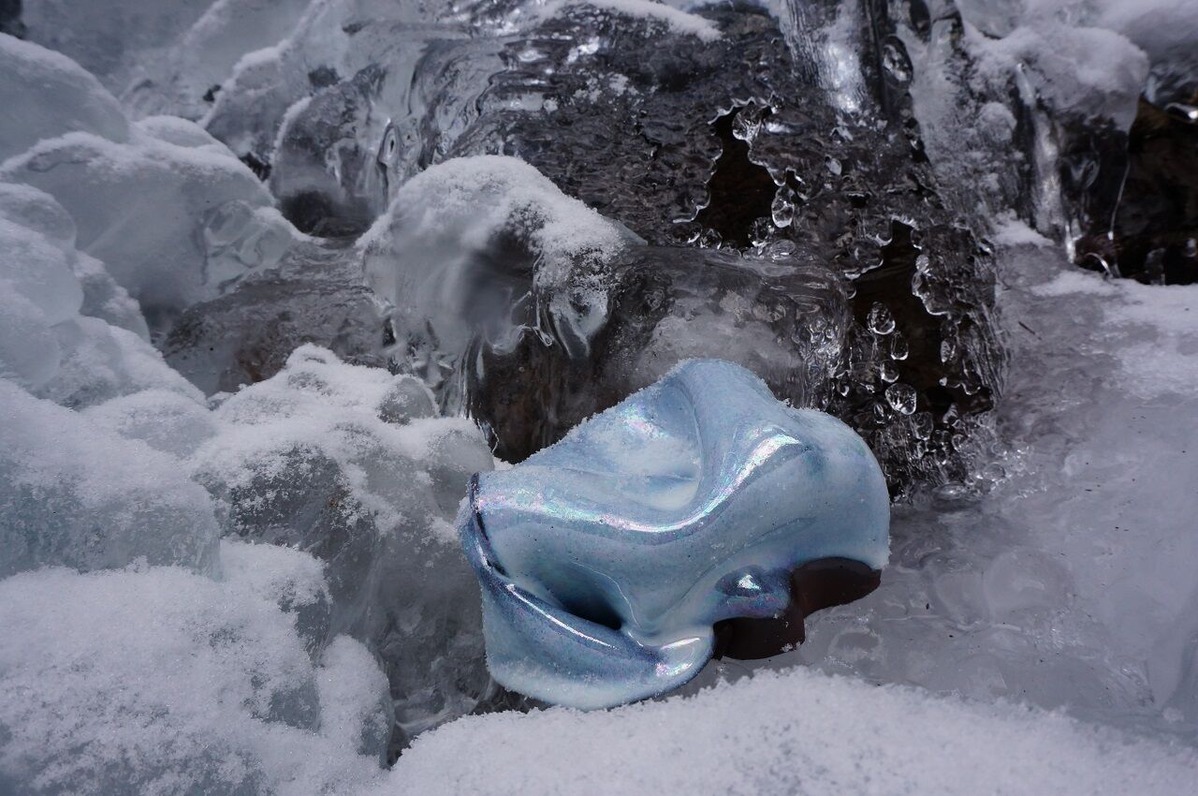 DSC03730��2015ǯ12�ë��ë