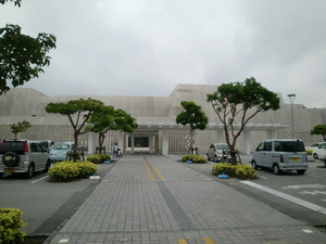 CIMG6013