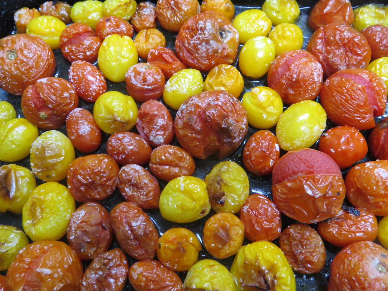 雨の日は ドライトマト 八ヶ岳自然アルバム