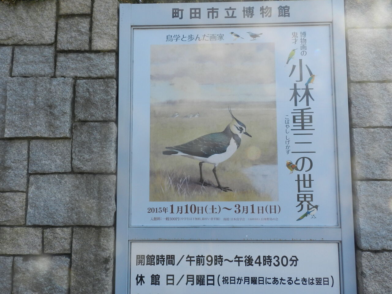 図録『博物画の鬼才 小林重三の世界：鳥学と歩んだ画家』