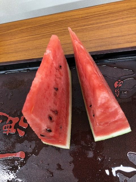 イメージ 10