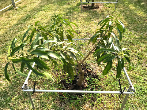 D8DF1018-1844-4C6B-9EF1-D85621A059EC_1_105_c