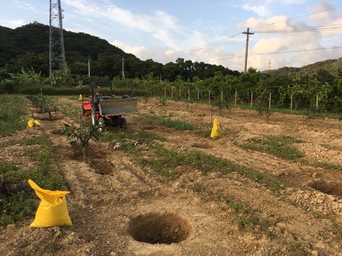 Image_2437d6f