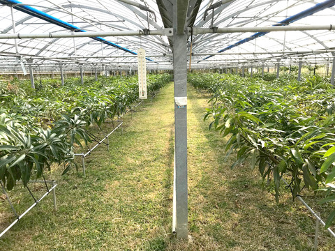 6194C7C8-EEE7-4B1B-BB11-6B9E2A958B97_1_105_c