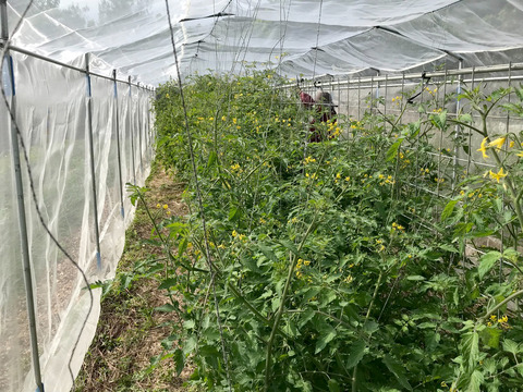 90BB9806-0836-4BF6-AAAE-984DE260876D_1_105_c