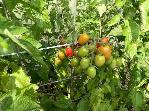 DB8F0562-1788-4D23-A6C7-1AEA6314BEE2_1_105_c