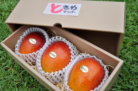 misaki%hotaru&ishigaki 279