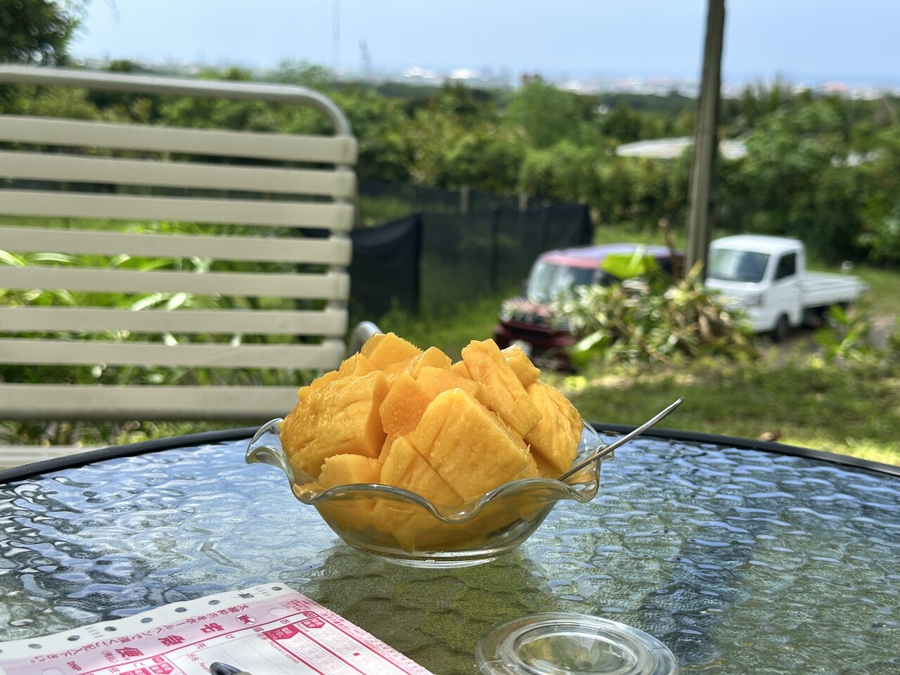 2025年シーズン収穫終了