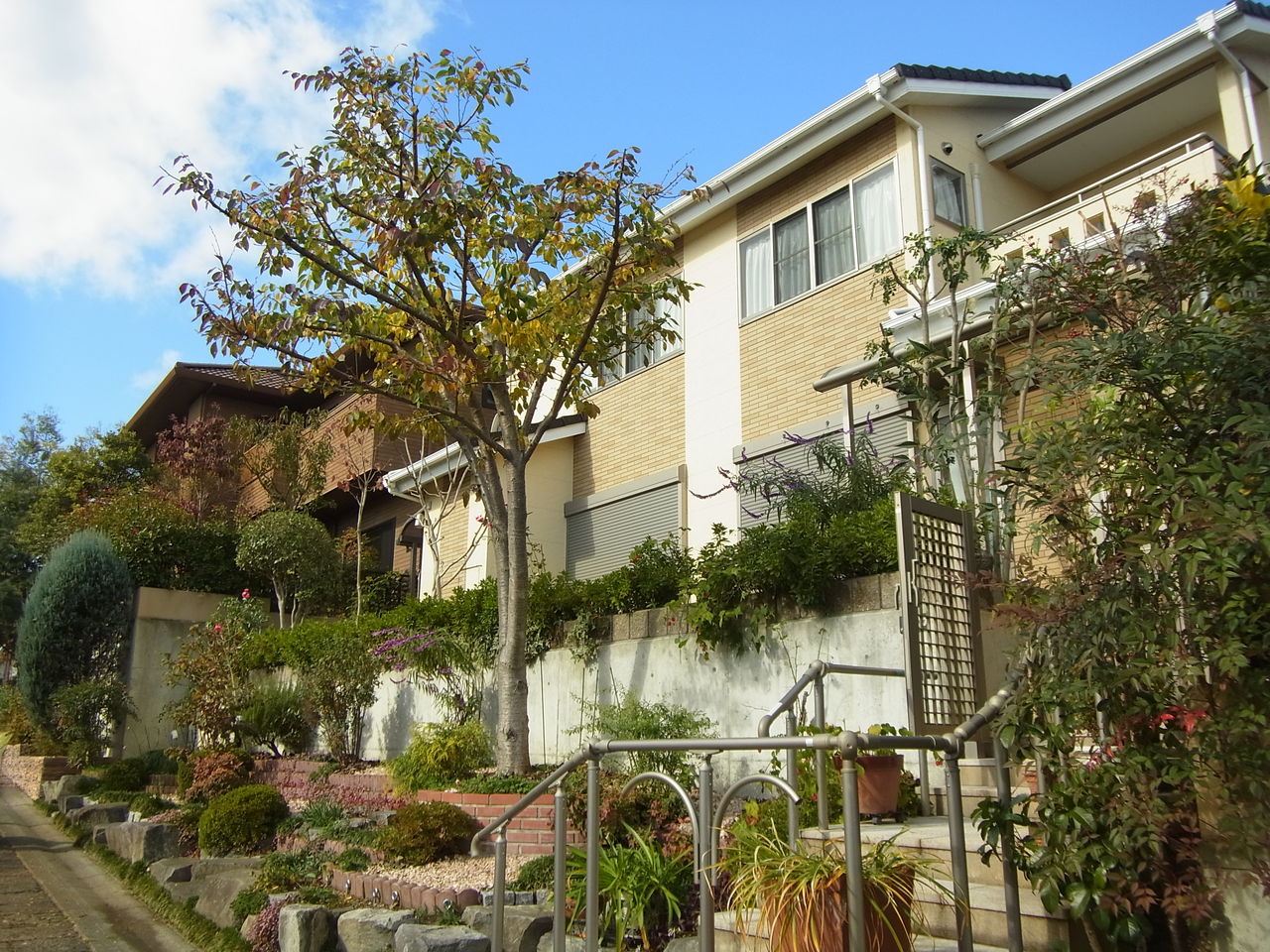 京都市西京区で庭木の手入れ 京都市右京区の植木屋 土岐造園の現場日誌