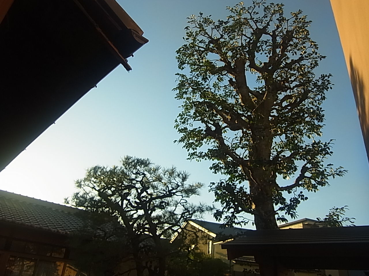 京都市右京区の植木屋 土岐造園の現場日誌 防草シート 京都市右京区の植木屋 土岐造園の現場日誌 防草シート