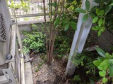 IMG_20200513_085915