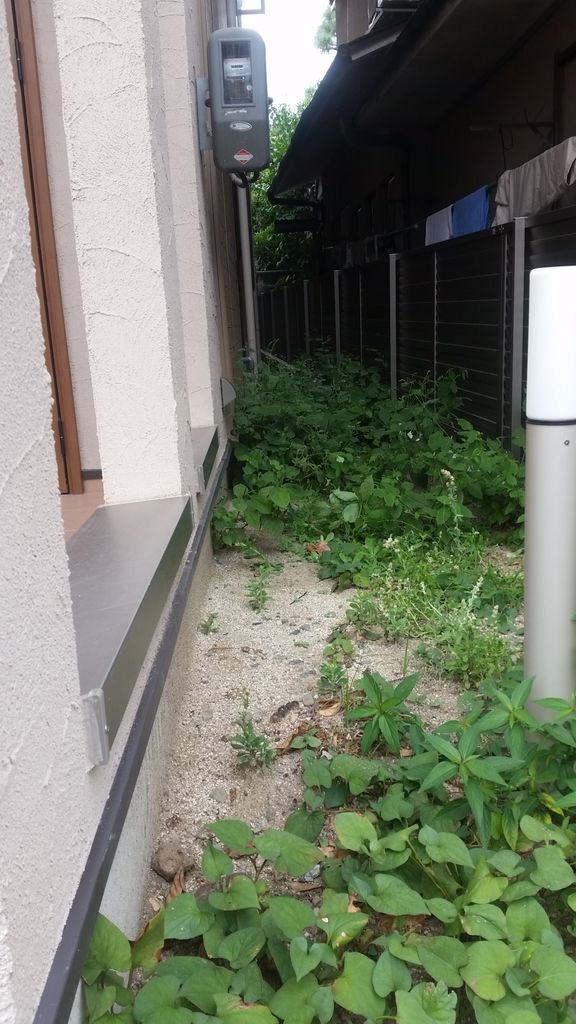 北区で植栽工事 京都市右京区の植木屋 土岐造園の現場日誌 北区で植栽工事 京都市右京区の植木屋 土岐造園の現場日誌