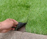 IMG_20200605_164841