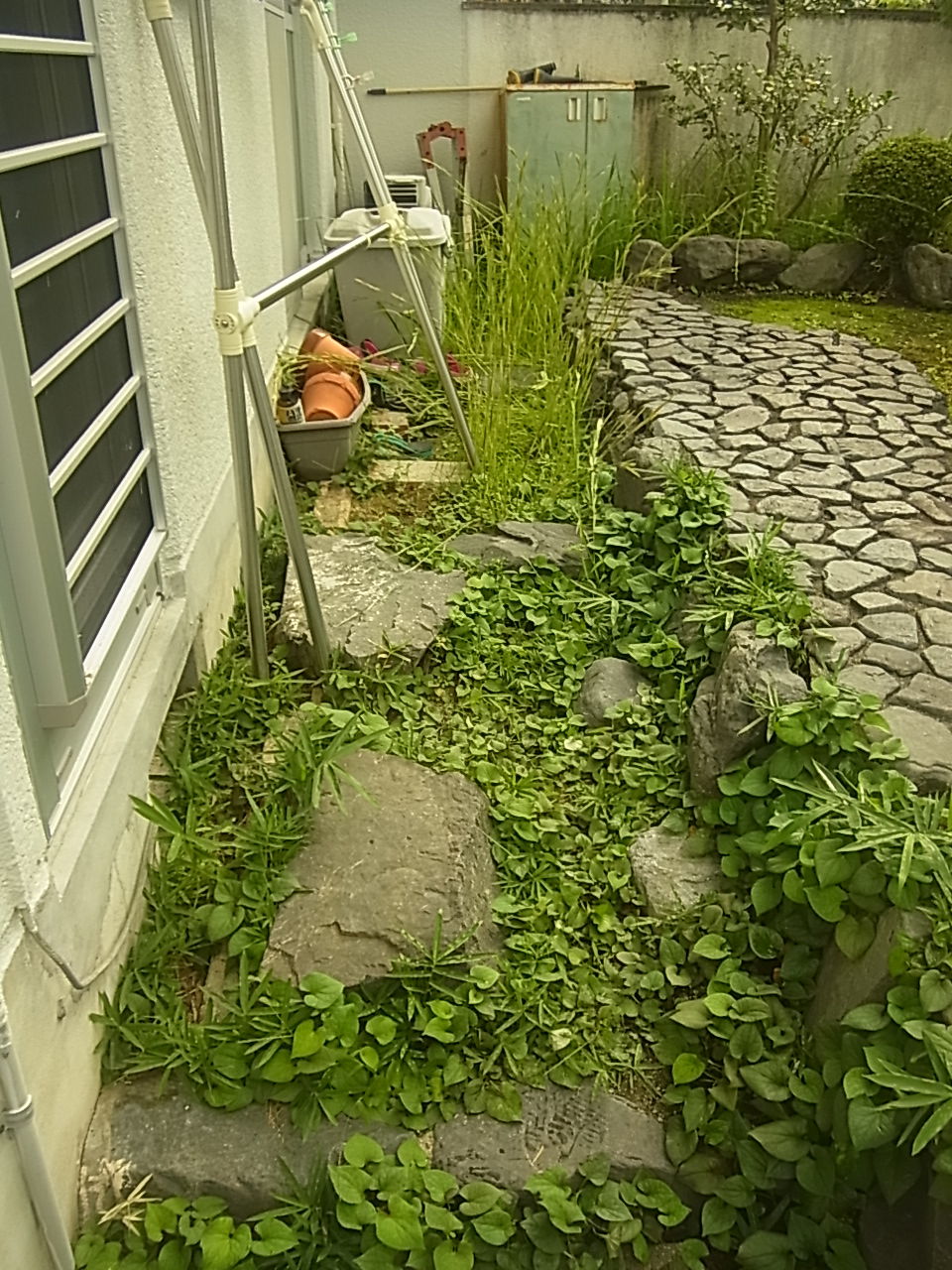 お庭の改修工事 京都市右京区の植木屋 土岐造園の現場日誌