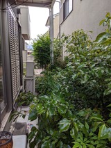 IMG_20200513_085951