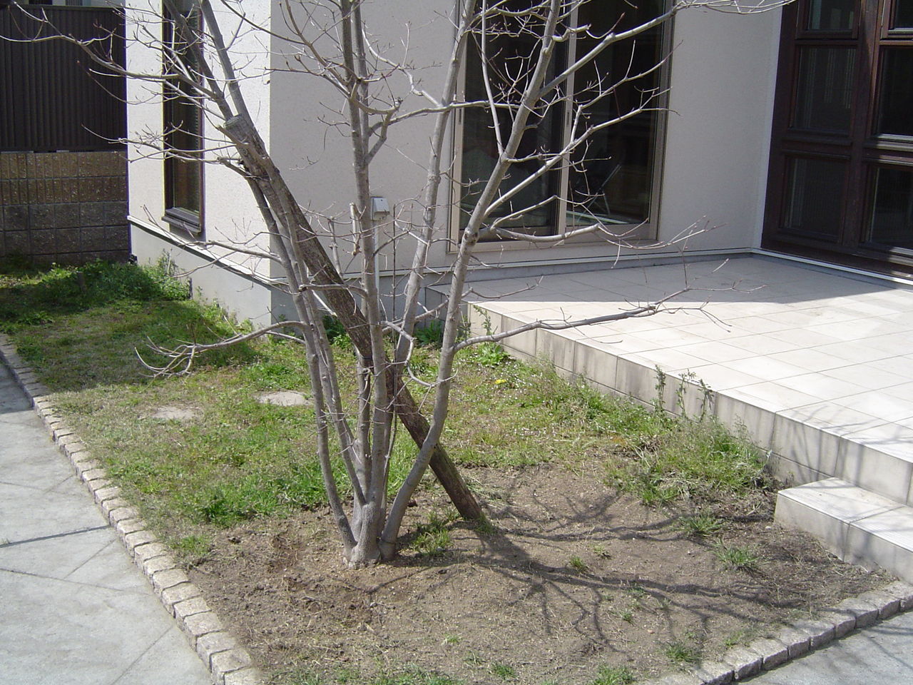 京都市北区上賀茂で植栽工事と竹工事 京都市右京区の植木屋 土岐造園の現場日誌