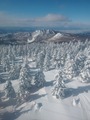 IMG_20230217_142204951