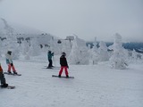 IMG_20230217_122726936