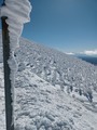 IMG_20230217_132152619