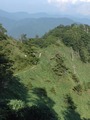 IMG_4574