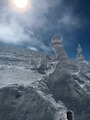 IMG_20230217_115337104