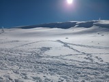 IMG_20230217_133436083