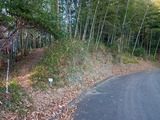 IMG_20220104_154141_992