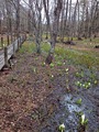 IMG_20220416_104424_030
