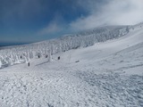 IMG_20230217_120148650