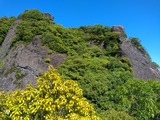 IMG_20200513_145930