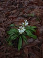 IMG_20220416_105246_248