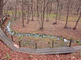 IMG_20220416_101907_871