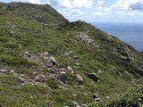 IMG_0672
