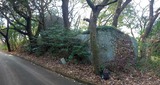 IMG_20220104_123955_876
