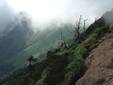 IMG_4564