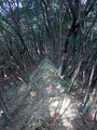 IMG_20220104_133511_208